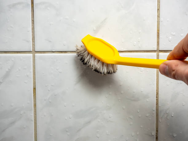 Best Mold Remediation  in Solvay, NY