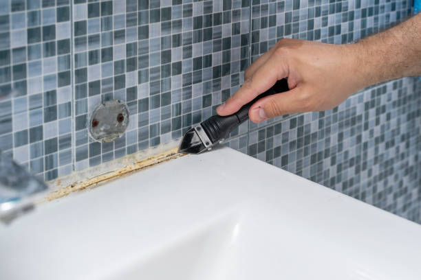 Best Black Mold Removal  in Solvay, NY